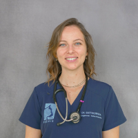 Dr Ostrowska - Docteur Vétérinaire